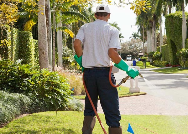 About Lindsborg KS Pest Control Pros